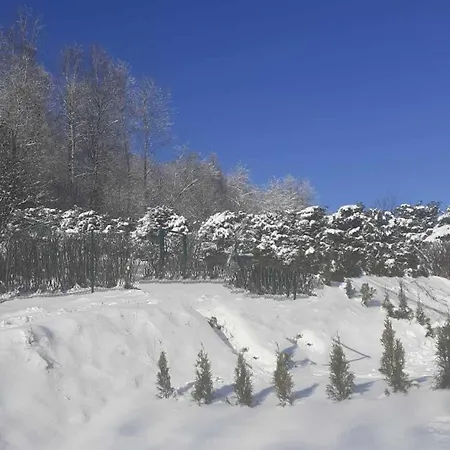 Lochowka - Zaciszny W Gorach * Krynica-Zdrój